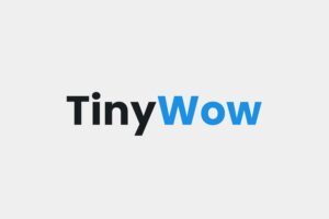 Leia mais sobre o artigo Tinywow: Uma Inteligência Artificial para Conversão e Edição de Arquivos